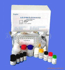 全面安检 可靠的安检探测器产品列表